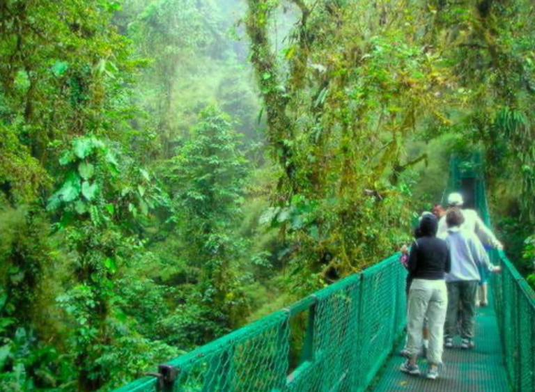 Amazing Adventures by Greddy in Playa Hermosa,Guanacaste, Costa Rica - greddytours.com